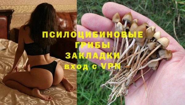 прущая мука Балабаново