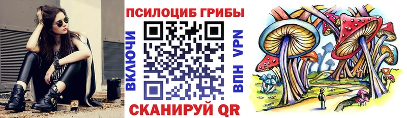 цены наркотик Кувшиново Галлюциногенные грибы прущие грибы